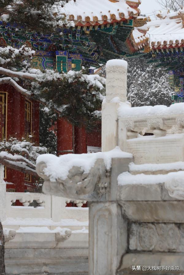 景山壽皇殿，被低估的雪景拍攝地，沒有約到故宮，來這裡