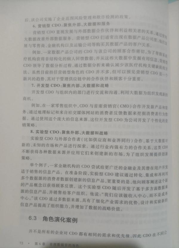 大資料領導-首席資料官