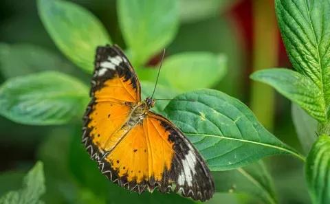 或許你不相信,但這是真實的存在 或許你不相信,但這是真實的存在