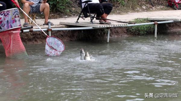 假期歡樂多 鄉村垂釣樂 假期歡樂多 鄉村垂釣樂