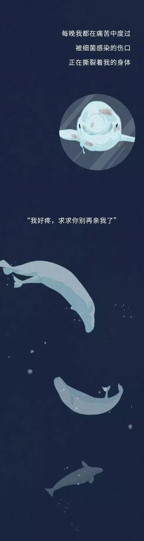 漫畫：你們也是這樣毀掉我的一生的