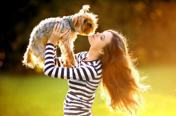 女生初次養狗選什麼好？這7種狗狗都不錯，顏值高