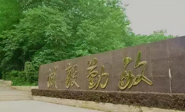 收藏！湖北熱門打卡地：規劃佔地2000餘畝，這9個“景點”超火