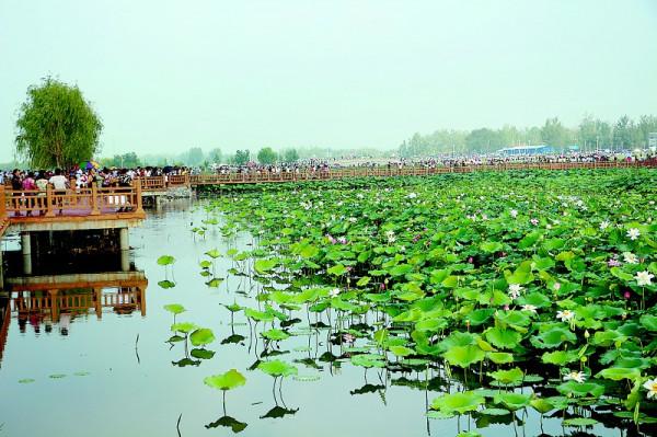 山東人口第一大縣,常住人口約138萬,名氣大風景美適合遊玩 山東人口第一大縣,常住人口約138萬,名氣大風景美適合遊玩