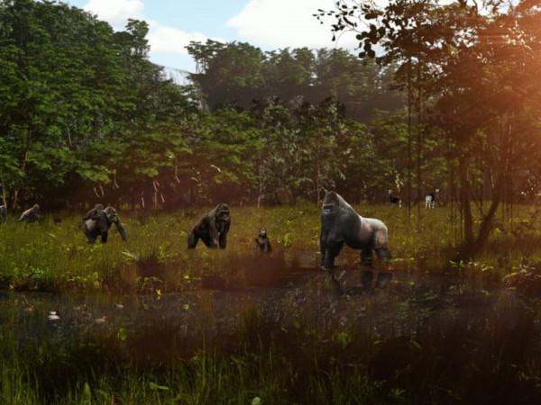 這個理想中的完美動物園,蘇黎世想要造出來 這個理想中的完美動物園,蘇黎世想要造出來