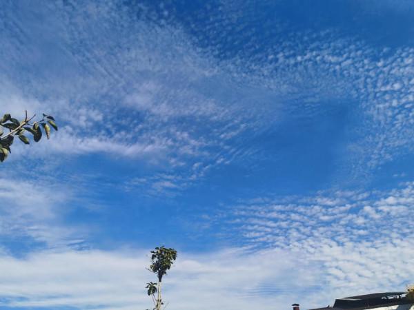 在學習中反省自己