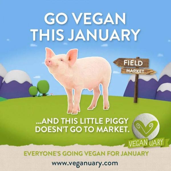 最新研究 | 英國純素生活方式成新潮，純素者在 2.5 年內激增 300%