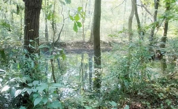 戴笠墓地：七個老農挖了一星期才挖開，屍身被丟棄於小水塘