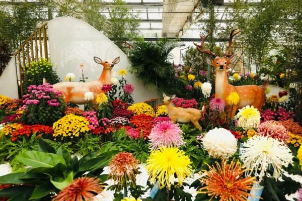 【FENG娛】速看!世界花卉大觀園裡有什麼?細數那些藏不住的精彩! 【FENG娛】速看!世界花卉大觀園裡有什麼?細數那些藏不住的精彩!