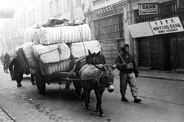早年天津英法意三國菜市場,90年代仍是高消費場所,老百姓買不起 早年天津英法意三國菜市場,90年代仍是高消費場所,老百姓買不起