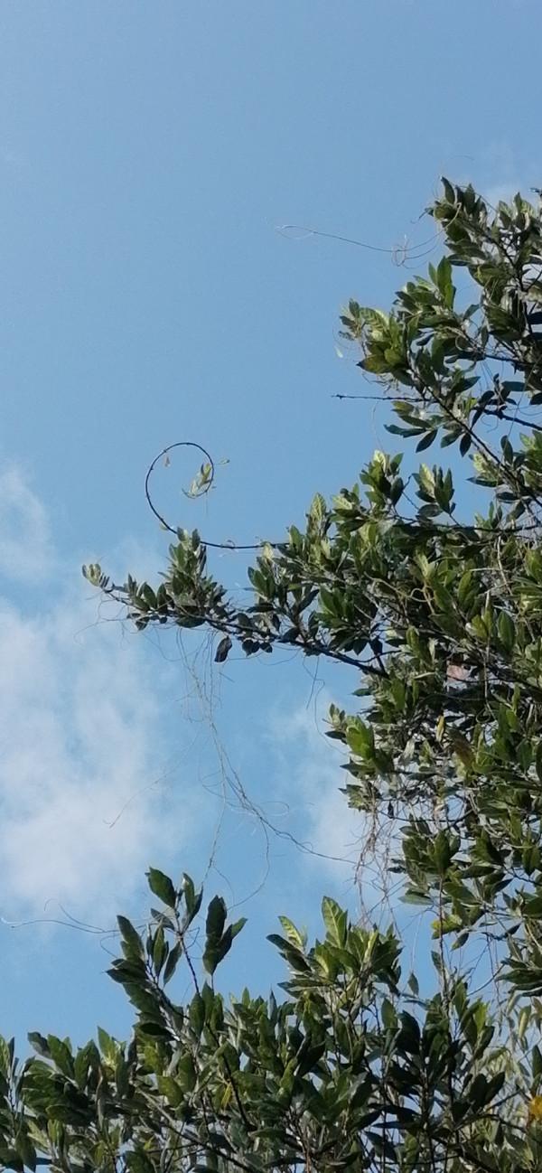 雲彩下的山城系列（九）