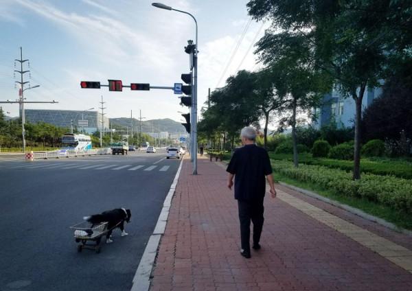 經常走路可以降血脂?若想降低血脂,做好這2件事或會有幫助 經常走路可以降血脂?若想降低血脂,做好這2件事或會有幫助