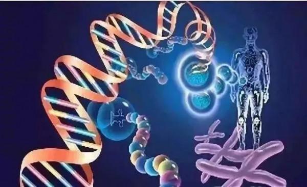 我家寶寶不長個怎麼辦?這幾類檢查瞭解一下 我家寶寶不長個怎麼辦?這幾類檢查瞭解一下