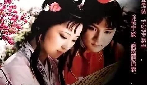 10部豆瓣9.5分以上的國產電視劇 10部豆瓣9.5分以上的國產電視劇