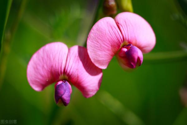 人走了,靈魂還在麼 人走了,靈魂還在麼