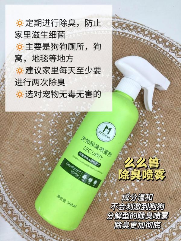 新手養狗清潔誤區！養狗新手別再犯錯啦