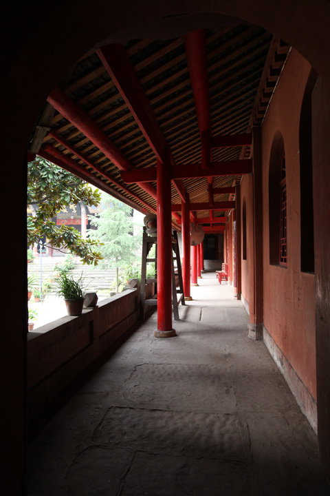 聊齋故事:美人藥 聊齋故事:美人藥