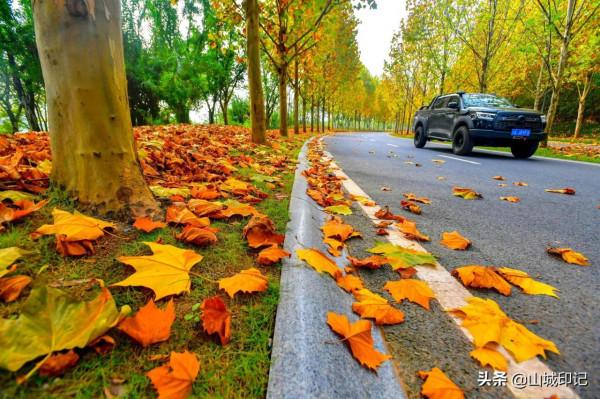 廣陽島初冬美景正式登場,驚豔整個冬天,快來更新桌布吧 廣陽島初冬美景正式登場,驚豔整個冬天,快來更新桌布吧
