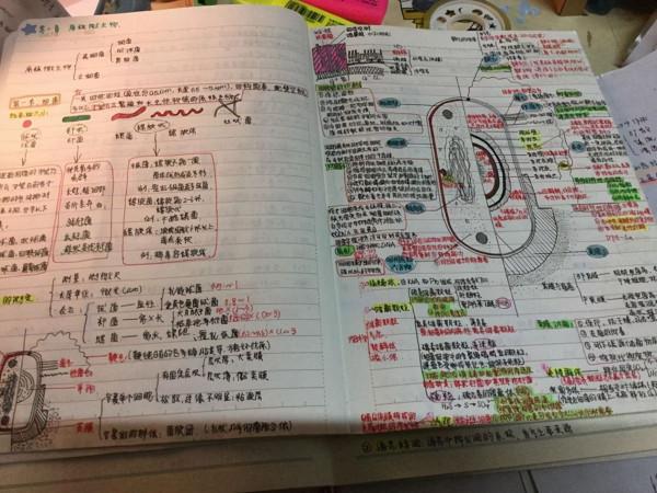 如何判斷孩子是學霸還是學渣？班主任：看課桌裡面有什麼就知道了