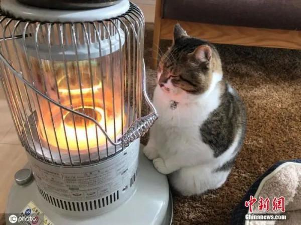 燙傷抹醬油，這個偏方還要害幾代人？