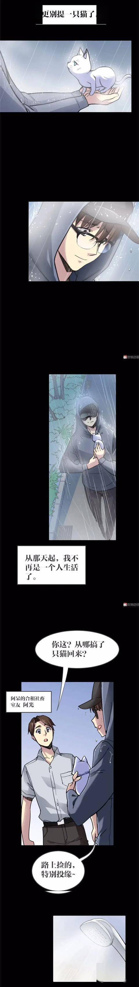 漫畫｜人性篇：會做飯的網紅貓咪