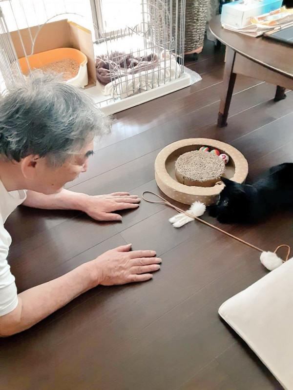 日本老爺爺救回一隻被烏鴉攻擊的小黑貓，擼貓半年人都變年輕了