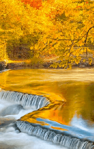 分享 世界之美 人間仙境 美呆啦