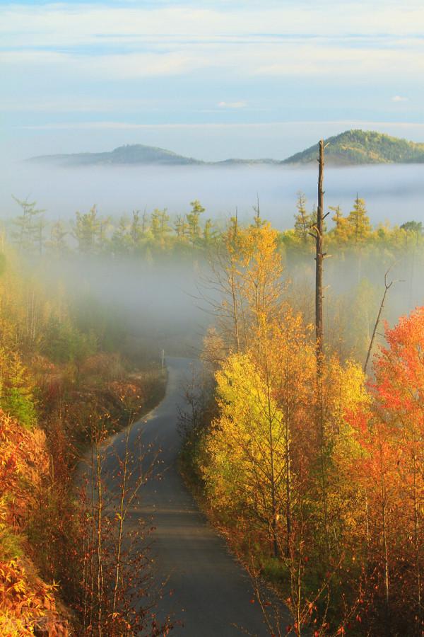 穿越千年,當秋日美景遇上古詩詞,許你一個詩意的山河 穿越千年,當秋日美景遇上古詩詞,許你一個詩意的山河
