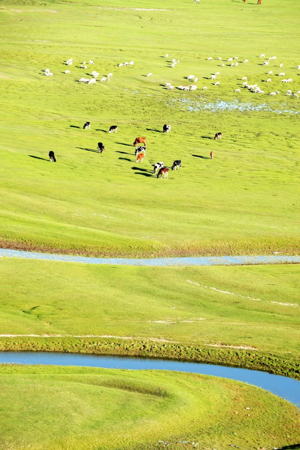 冬奧會倒計時22天！這座曾經比肩北京的老城，“國際張”藏不住了