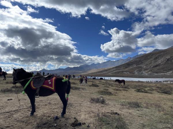高爾夫6伴我川西自駕遊