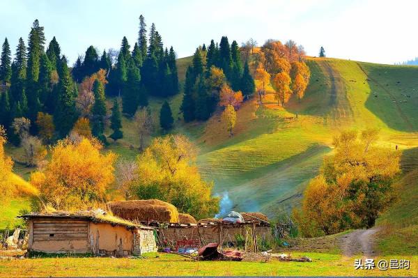世界上最美的高山草原——那拉提草原