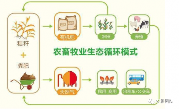 種養迴圈經濟存在的問題和解決措施