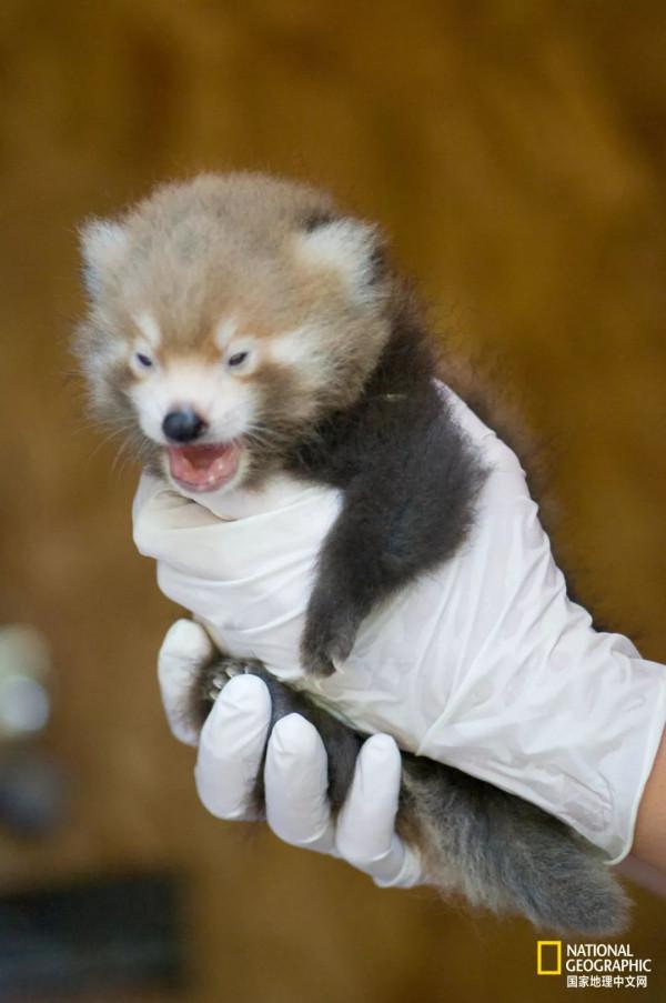 原來我們被幹脆面騙了好多年 原來我們被幹脆面騙了好多年