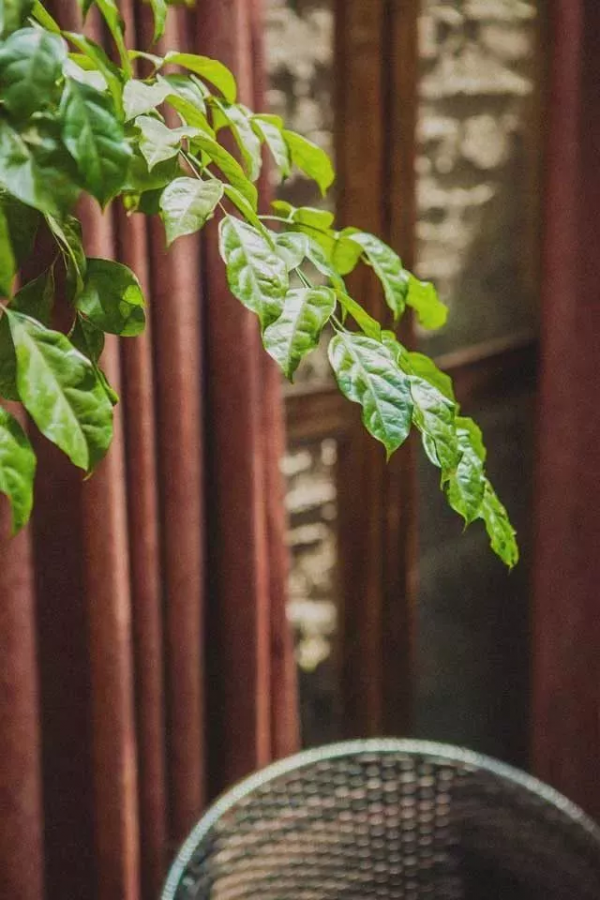 如果讓你選擇一句古詩詞來總結2021,哪句會跨越時光戳中你? 如果讓你選擇一句古詩詞來總結2021,哪句會跨越時光戳中你?