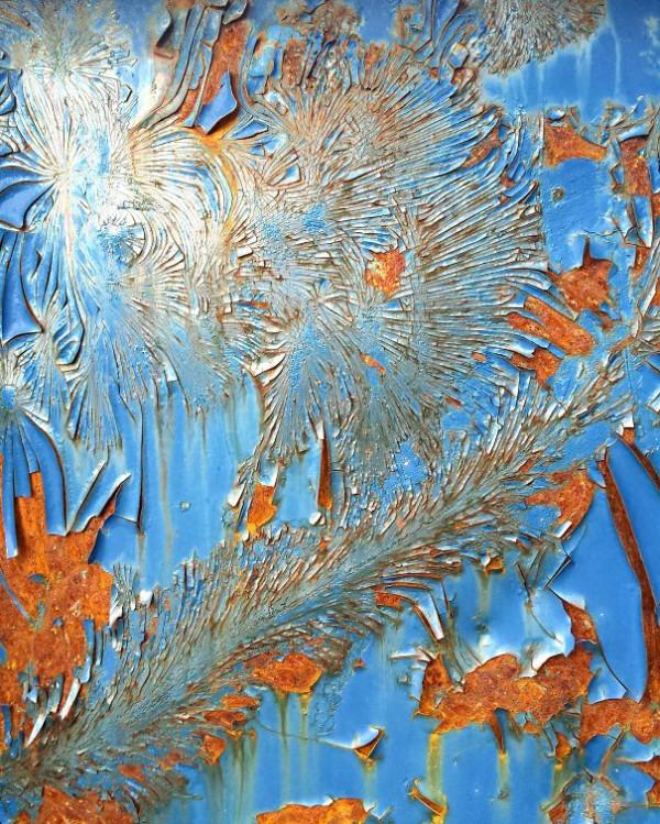 41張“活久未見”的巧合圖片，讓人感覺很難相信這是真的