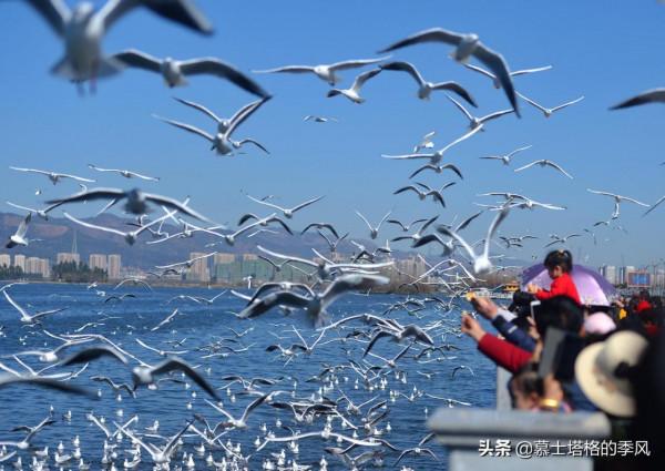 國內養老，最不能錯過的是這6座城，你最看好哪一個？