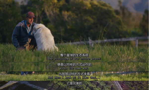 2010年,小夫妻買下1200畝荒地,只為一隻流浪狗,8年後年入千萬 2010年,小夫妻買下1200畝荒地,只為一隻流浪狗,8年後年入千萬