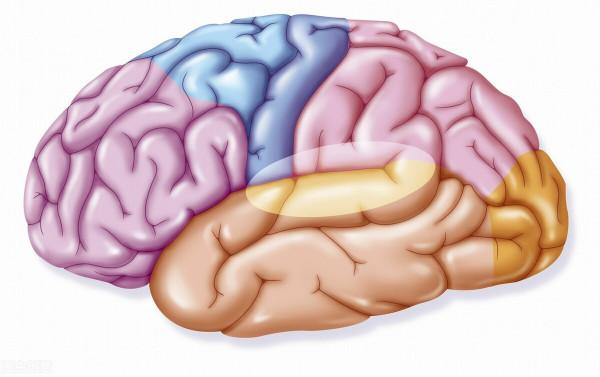 過年再忙，也要多為身體補水！健康飲水的7種益處，一一說清