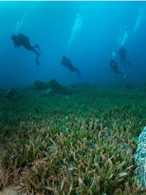 走進加拉帕戈斯群島