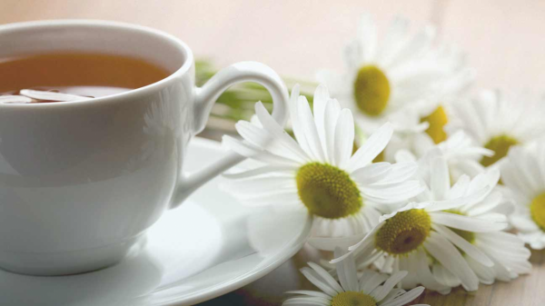 宅家熬夜修仙，讓這杯花茶來拯救熬夜臉