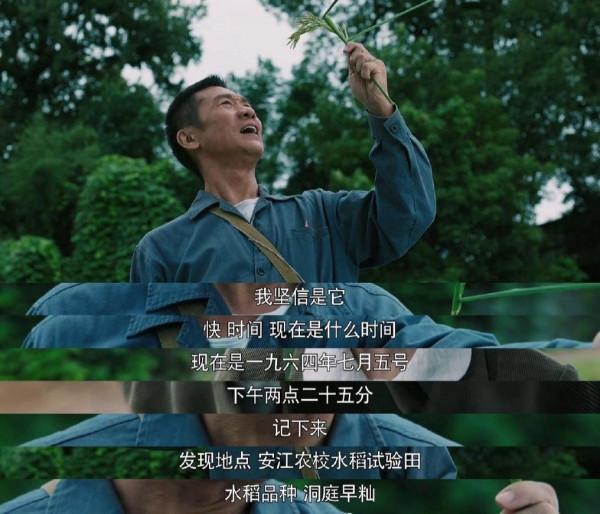 黑馬劇霸屏7大平臺,這8個人的故事成“王炸”:賺足了觀眾的眼淚 黑馬劇霸屏7大平臺,這8個人的故事成“王炸”:賺足了觀眾的眼淚