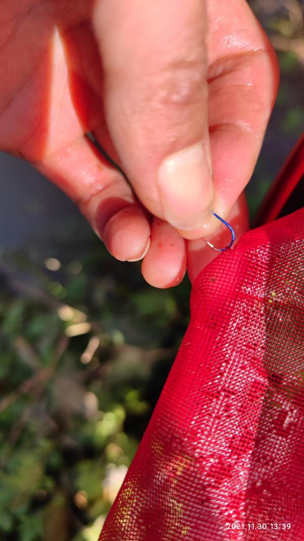 釣友手機打的窩，讓我過了一把癮