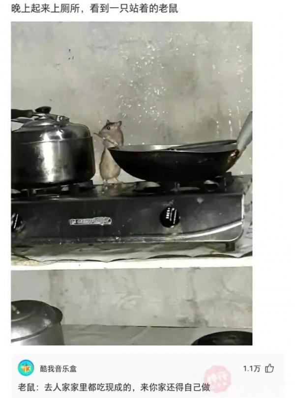 “在氣質這方面，陳偉霆真的比不過我！”神評搞笑了，哈哈哈