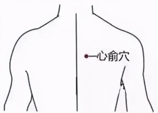 心血管科冬病夏治穴位貼敷指南