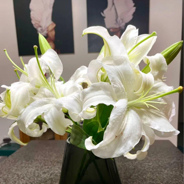 臥室養花“講究大”,4種“漂亮花”對身體傷害大,儘早搬出去 臥室養花“講究大”,4種“漂亮花”對身體傷害大,儘早搬出去