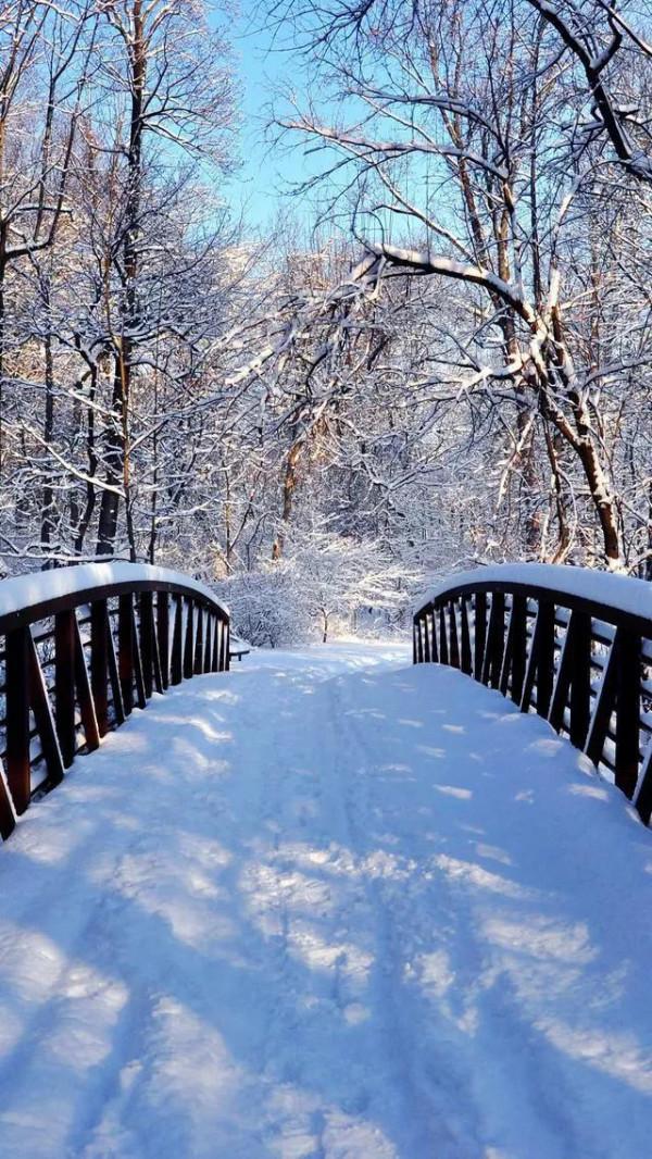 立冬夜思（散文）