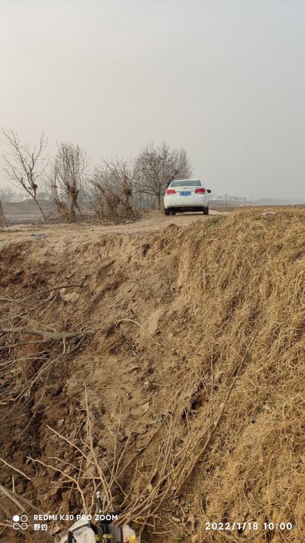 冬日再戰沁水河畔，大鯽大鯉收穫爆護