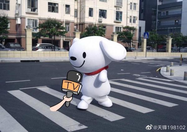 今天被一條狗狗治癒了不開心