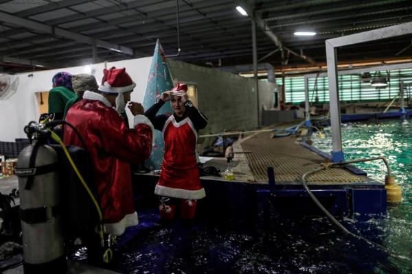 里約:水族館裡的";聖誕老人"; 里約:水族館裡的";聖誕老人";