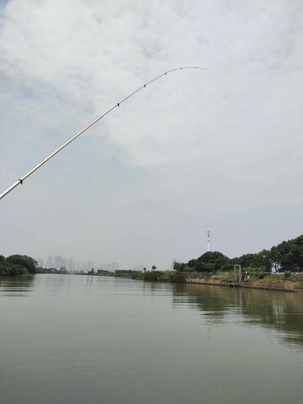 今天朋友帶我去南沙釣臘魚，他說今天魚情最差的一天